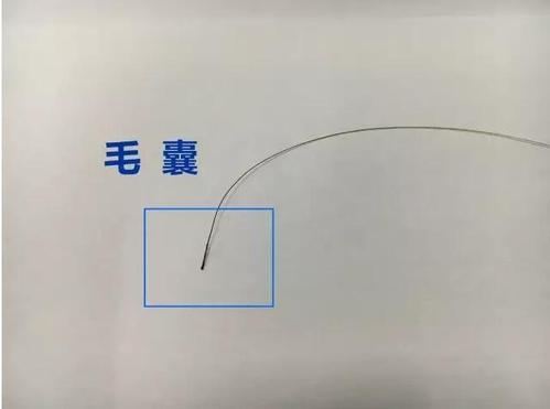 想做個(gè)人親子鑒定，頭發(fā)可以鑒定嗎？